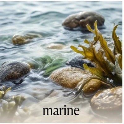 marine