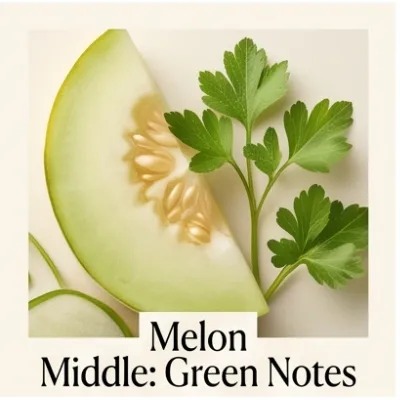 Melon Middle: Green Notes