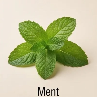 Ment