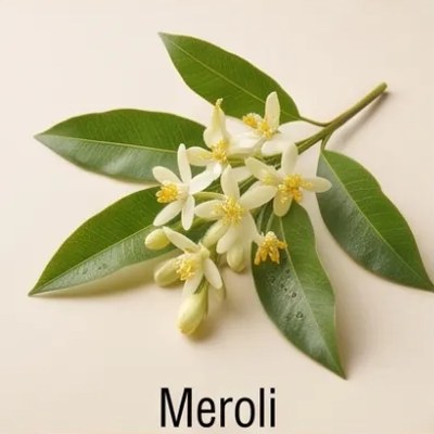 Meroli