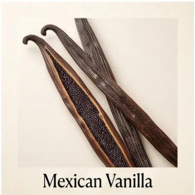Mexican Vanilla