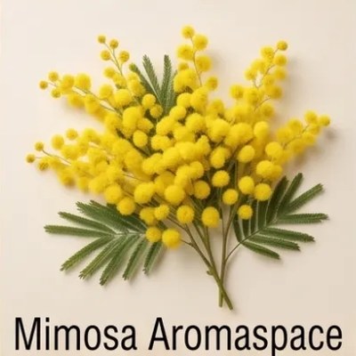 Mimosa Aromaspace