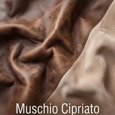 Muschio Cipriato