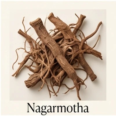 Nagarmotha