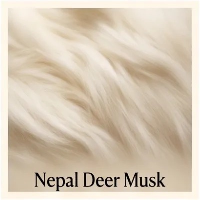Nepal Deer Musk