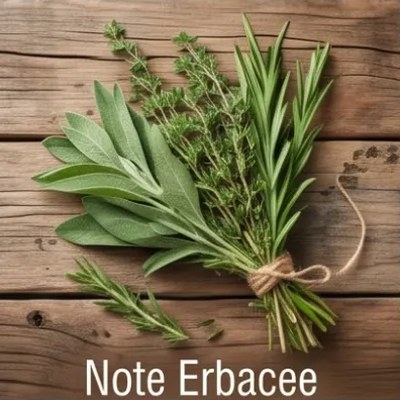 Note Erbacee