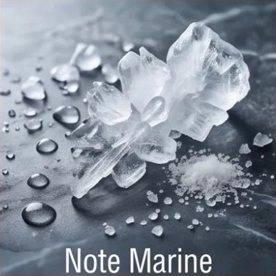 Note Marine