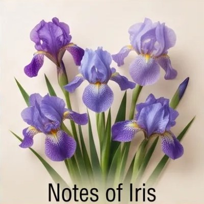 Notes of Iris