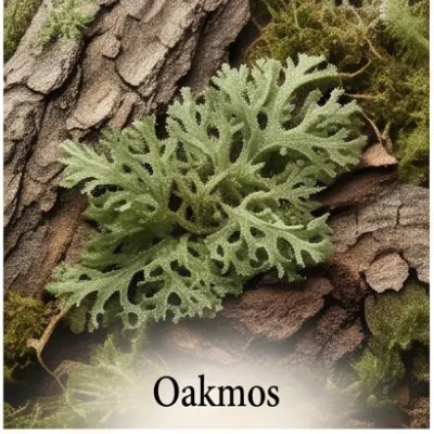 Oakmos