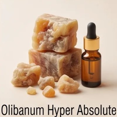 Olibanum Hyper Absolute