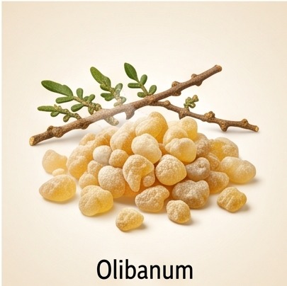 Olibanum