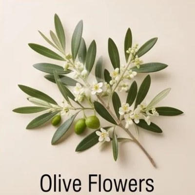 Olive Flowers