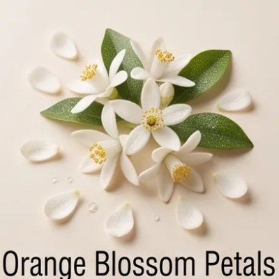 Orange Blossom Petals