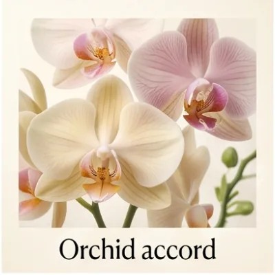 Orchid accord