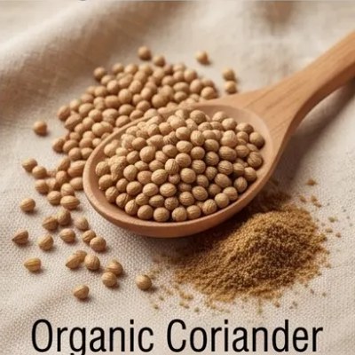Organic Coriander