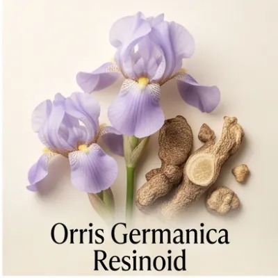 Orris Germanica Resinoid
