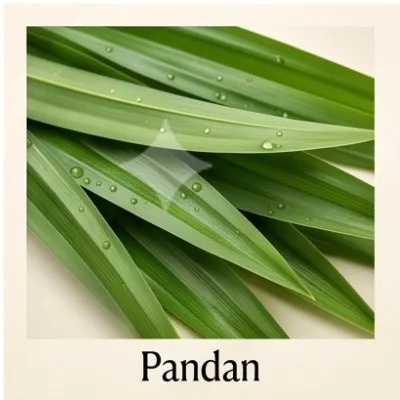 Pandan