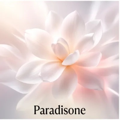 Paradisone