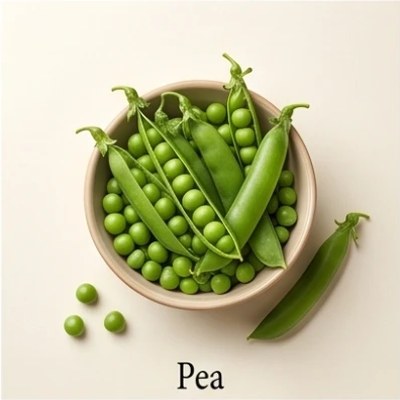 Pea