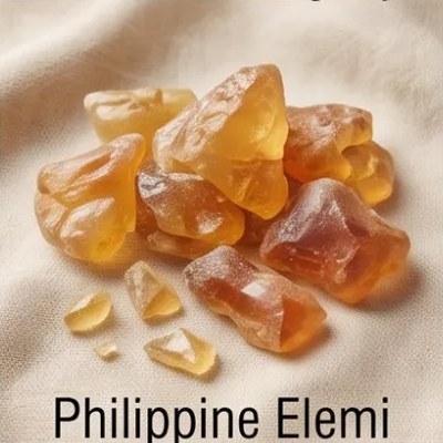 Philippine Elemi