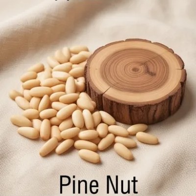 Pine Nut