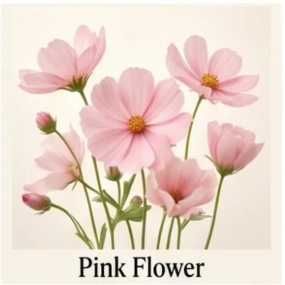 Pink Flower