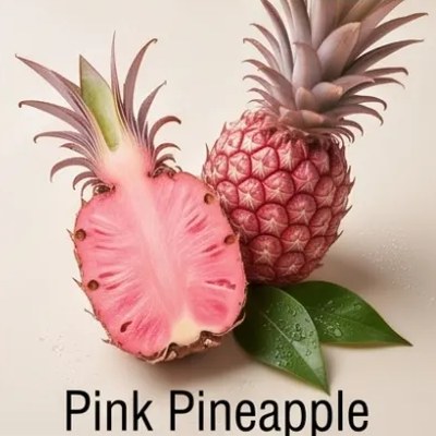 Pink Pineapple