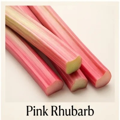 Pink Rhubarb