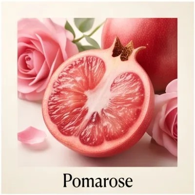 Pomarose