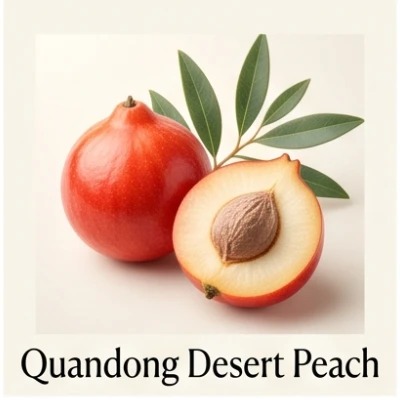Quandong Desert Peach