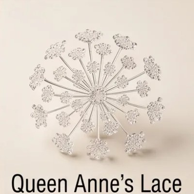 Queen Anne’s Lace