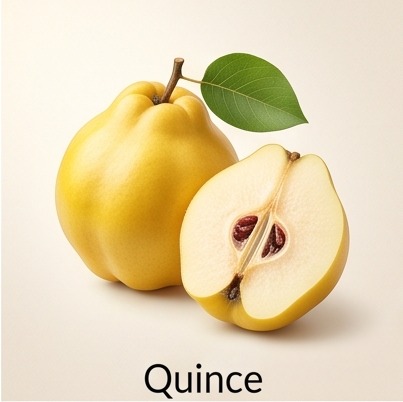 Quince