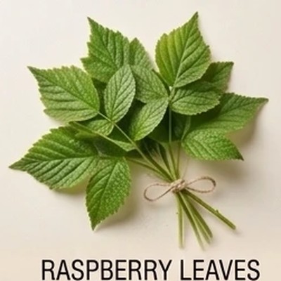 Raspberry Leaves