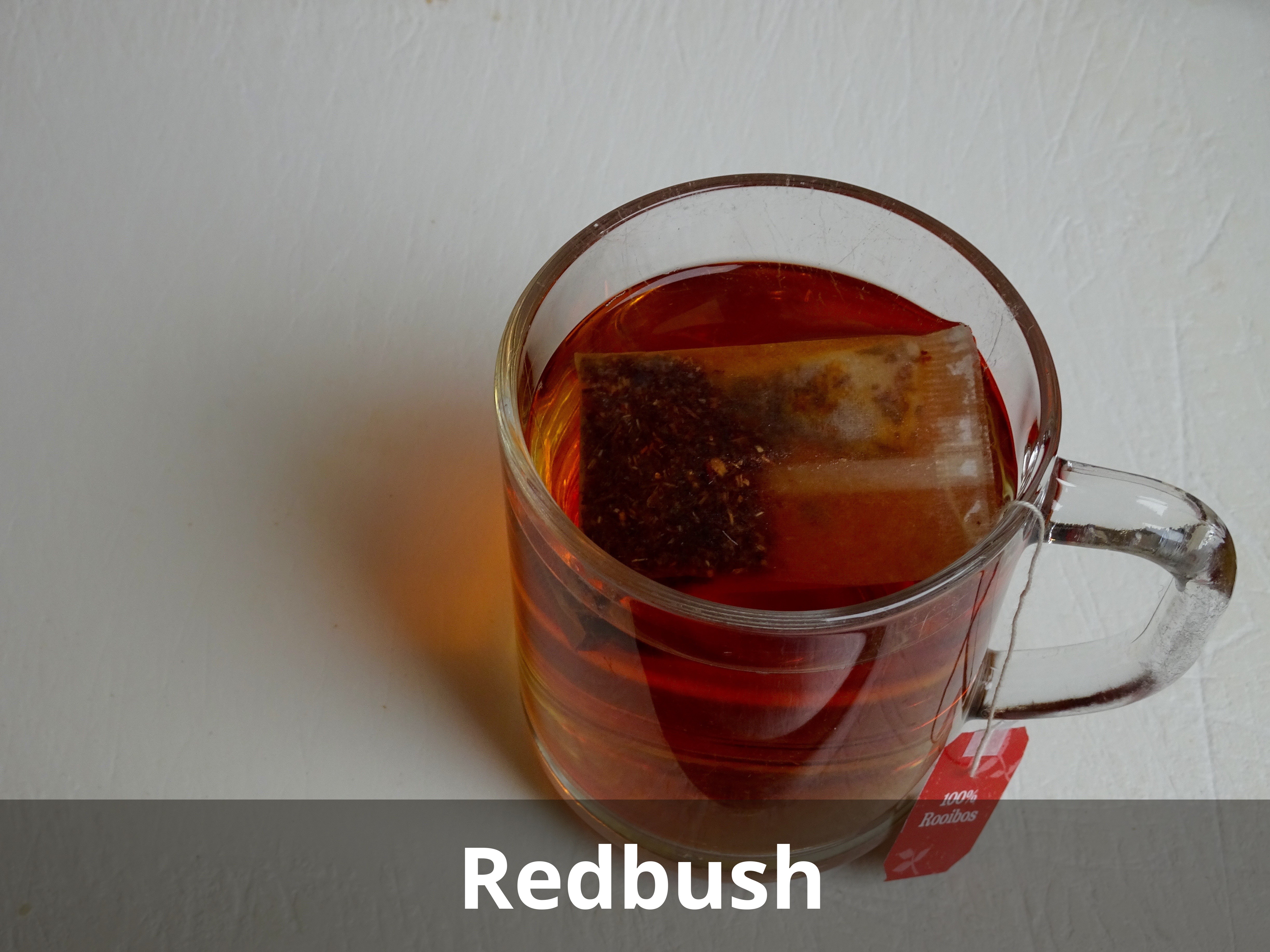 Redbush
