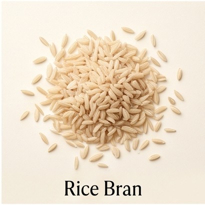 Rice Bran