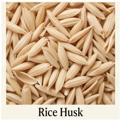 Rice Husk