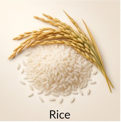 Rice