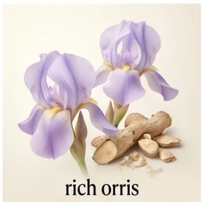 Rich Orris