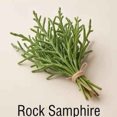 Rock Samphire