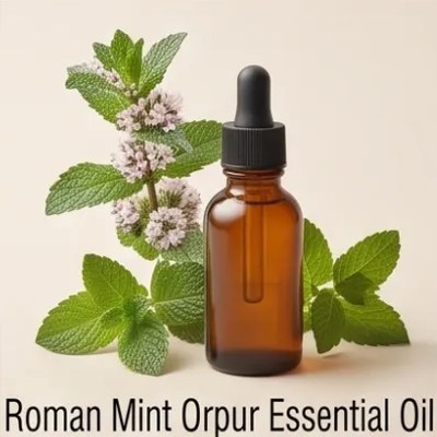 Roman Mint Orpur Essential Oil