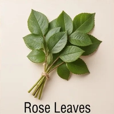 Rose Leaves