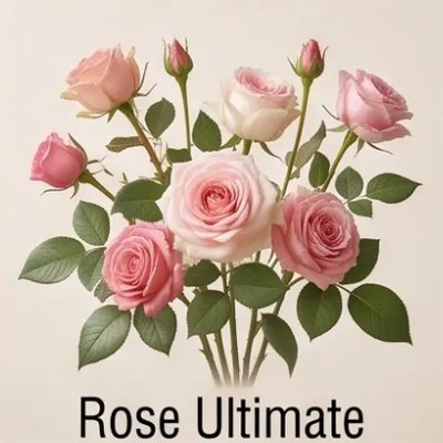 Rose Ultimate