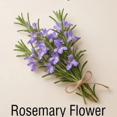 Rosemary Flower