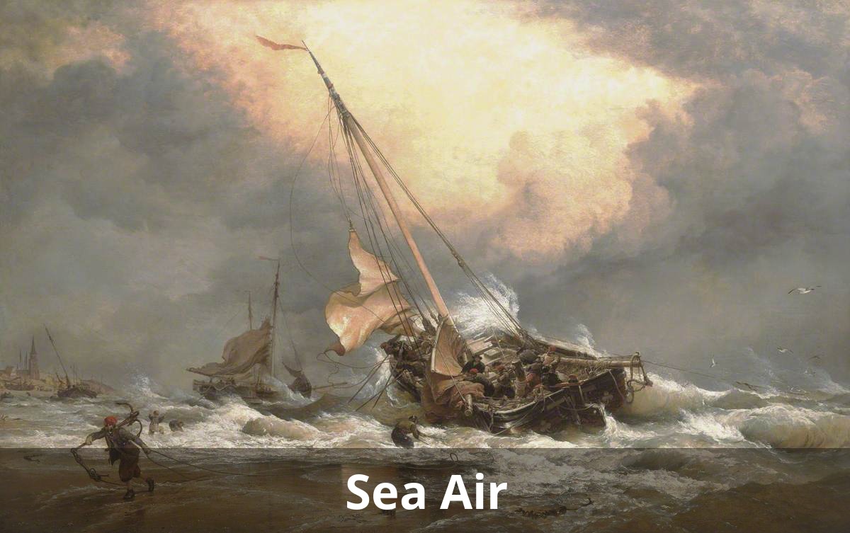Sea Air