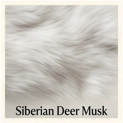 Siberian Deer Musk