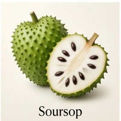 Soursop