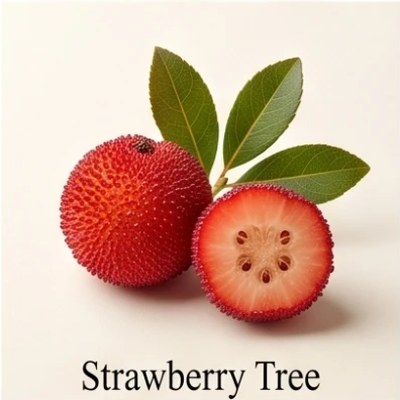Strawberry Tree