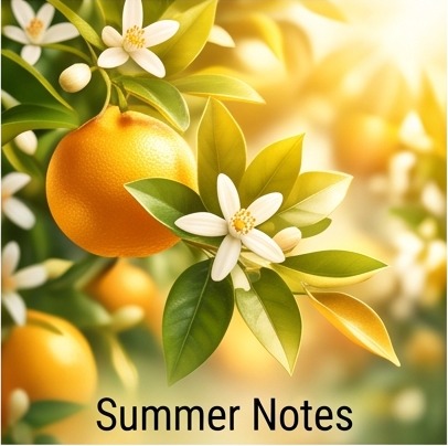 Summer Notes