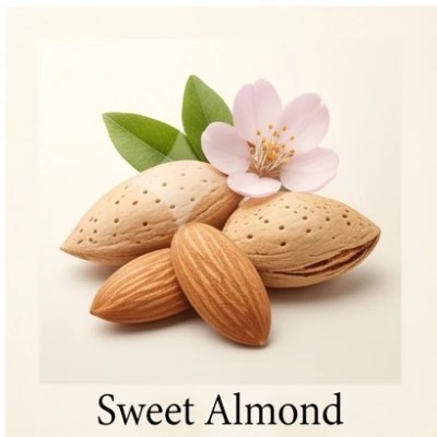 Sweet Almond