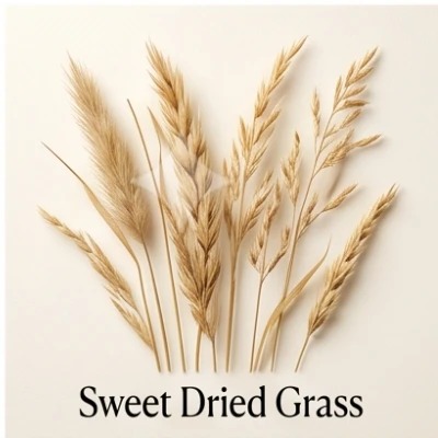 Sweet Dried Grass